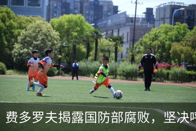 费多罗夫揭露国防部腐败，坚决呼吁推进选举